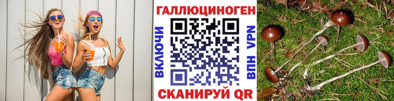 Псилоцибиновые грибы мухоморы  Новое Девяткино 