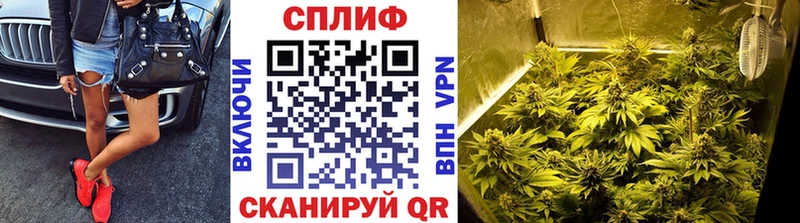 Канабис Ganja  дарк нет Telegram  Новое Девяткино  цены  